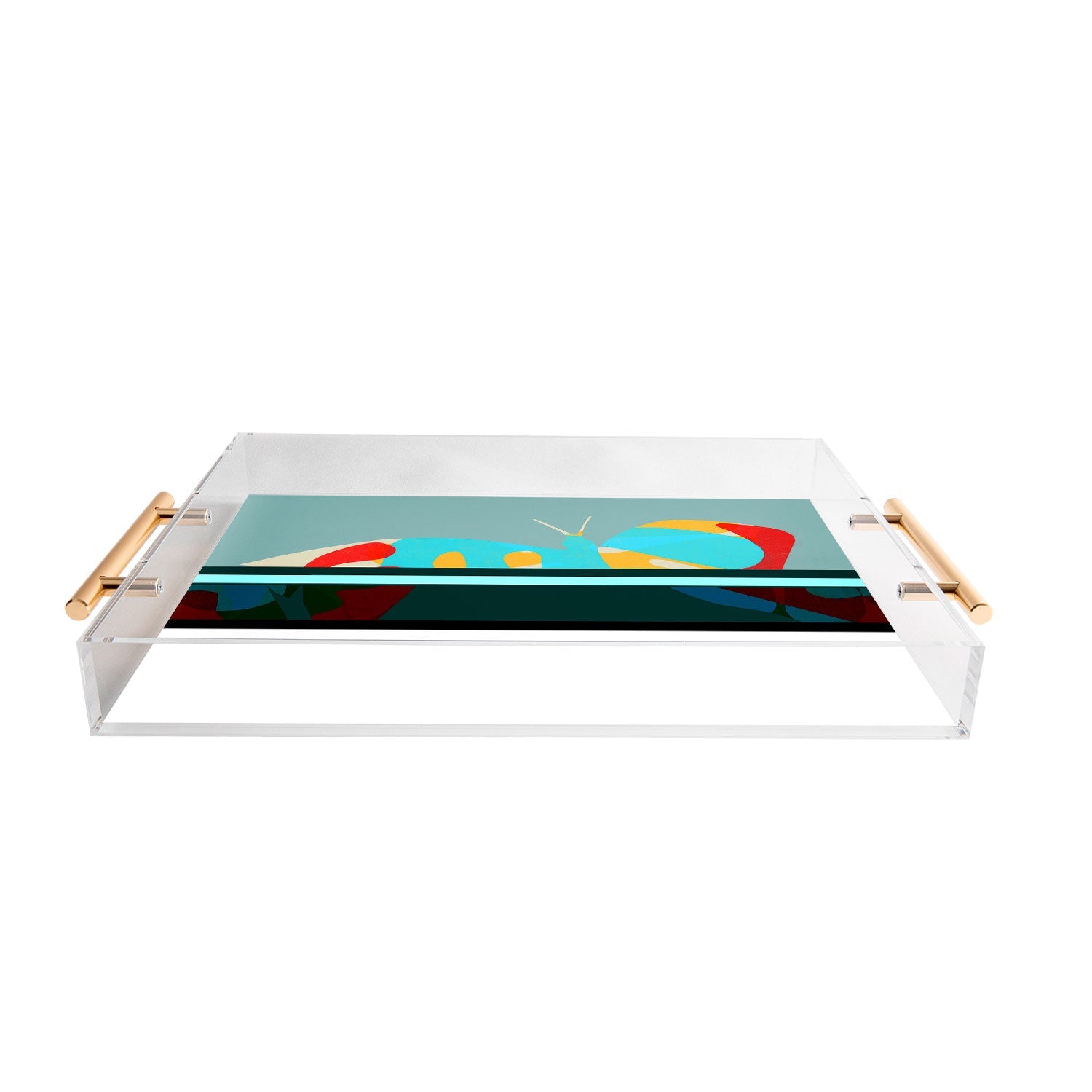 Garima Dhawan flight 5 Acrylic Tray