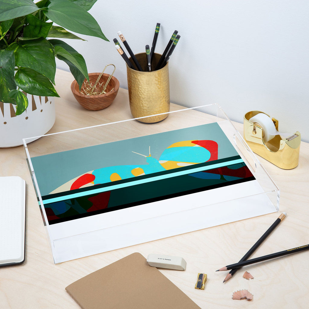 Garima Dhawan flight 5 Acrylic Tray