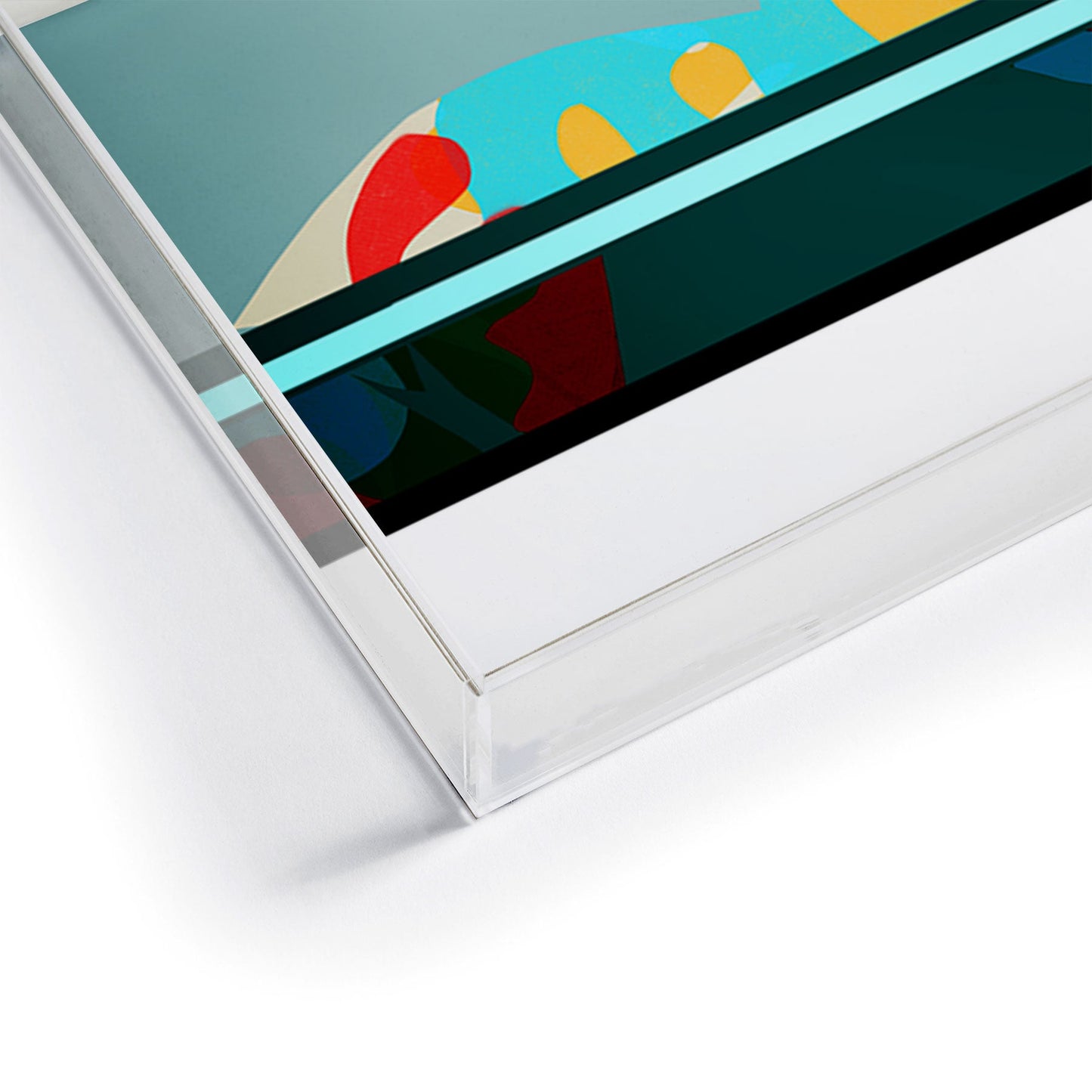 Garima Dhawan flight 5 Acrylic Tray