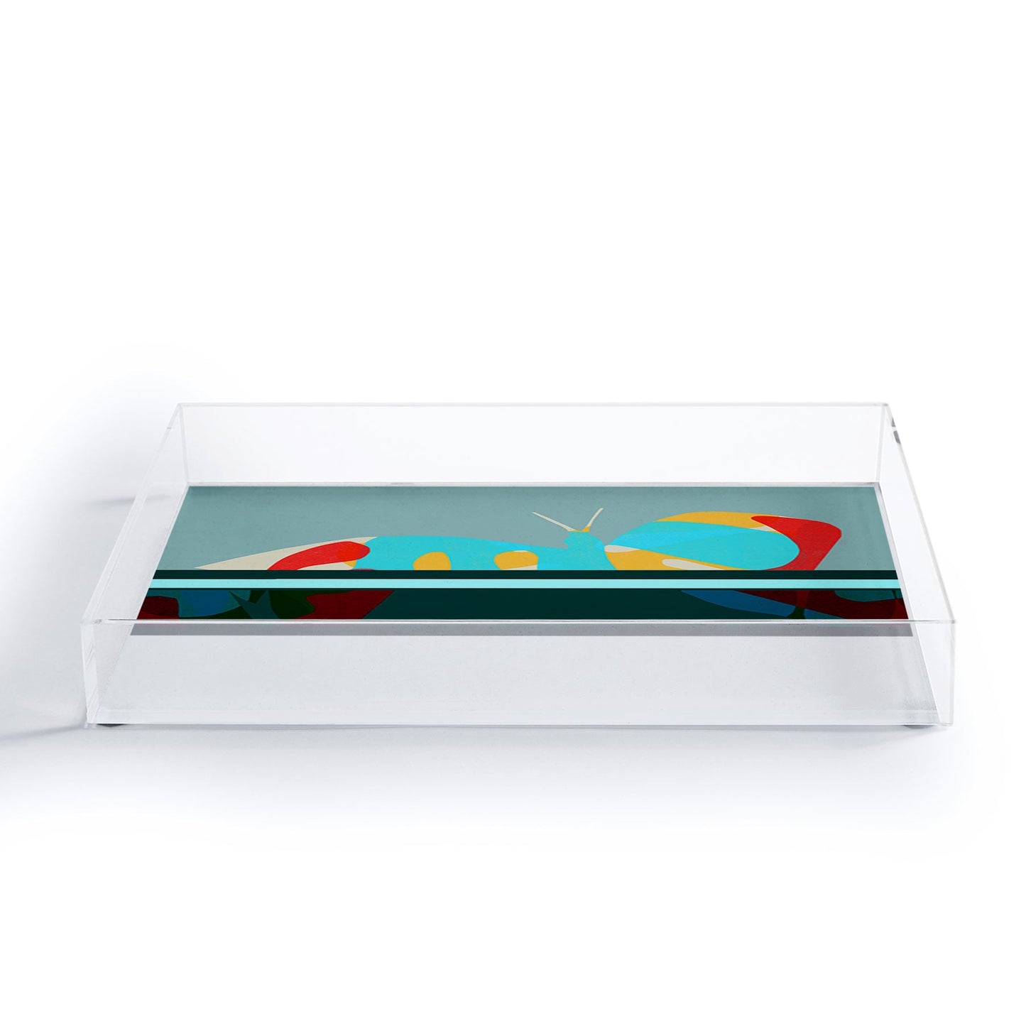 Garima Dhawan flight 5 Acrylic Tray