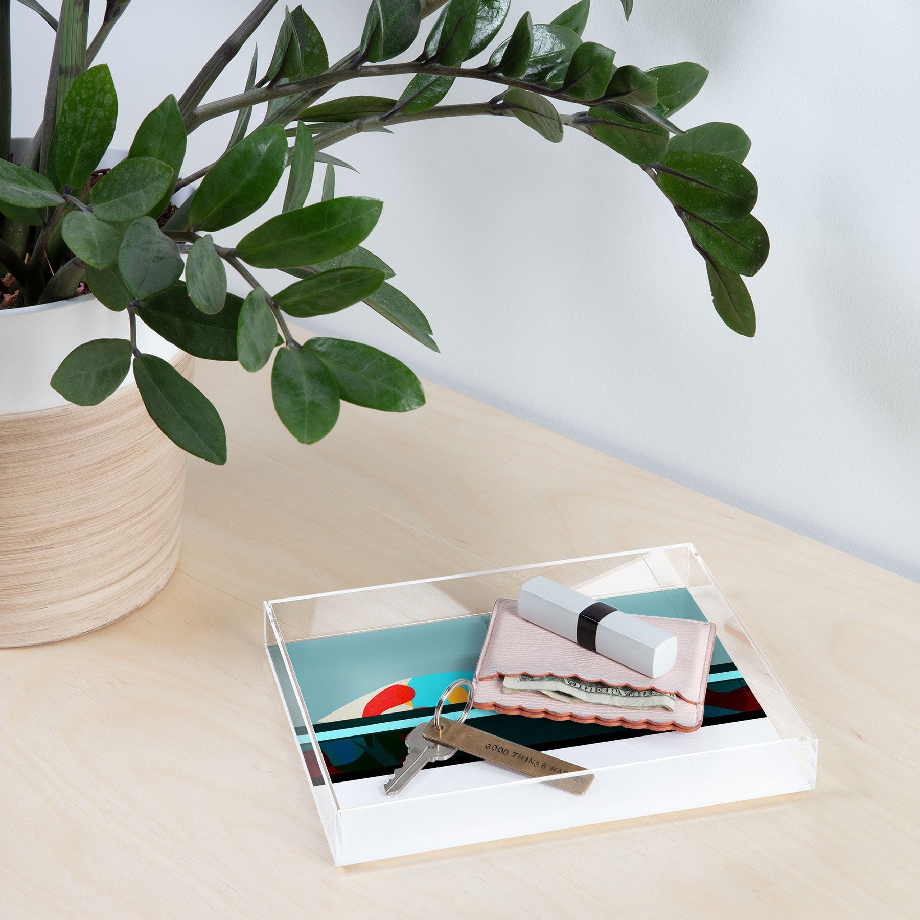 Garima Dhawan flight 5 Acrylic Tray