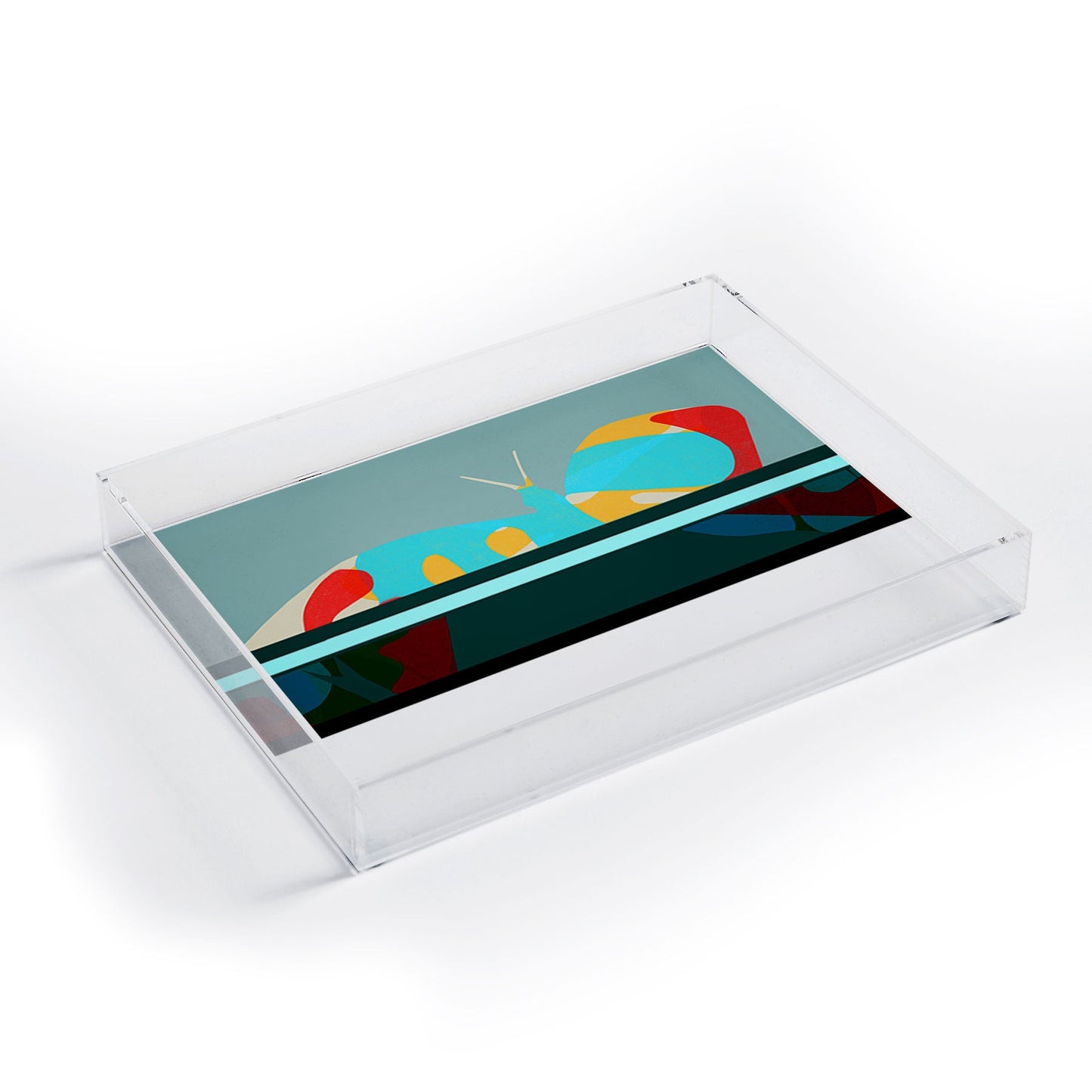 Garima Dhawan flight 5 Acrylic Tray