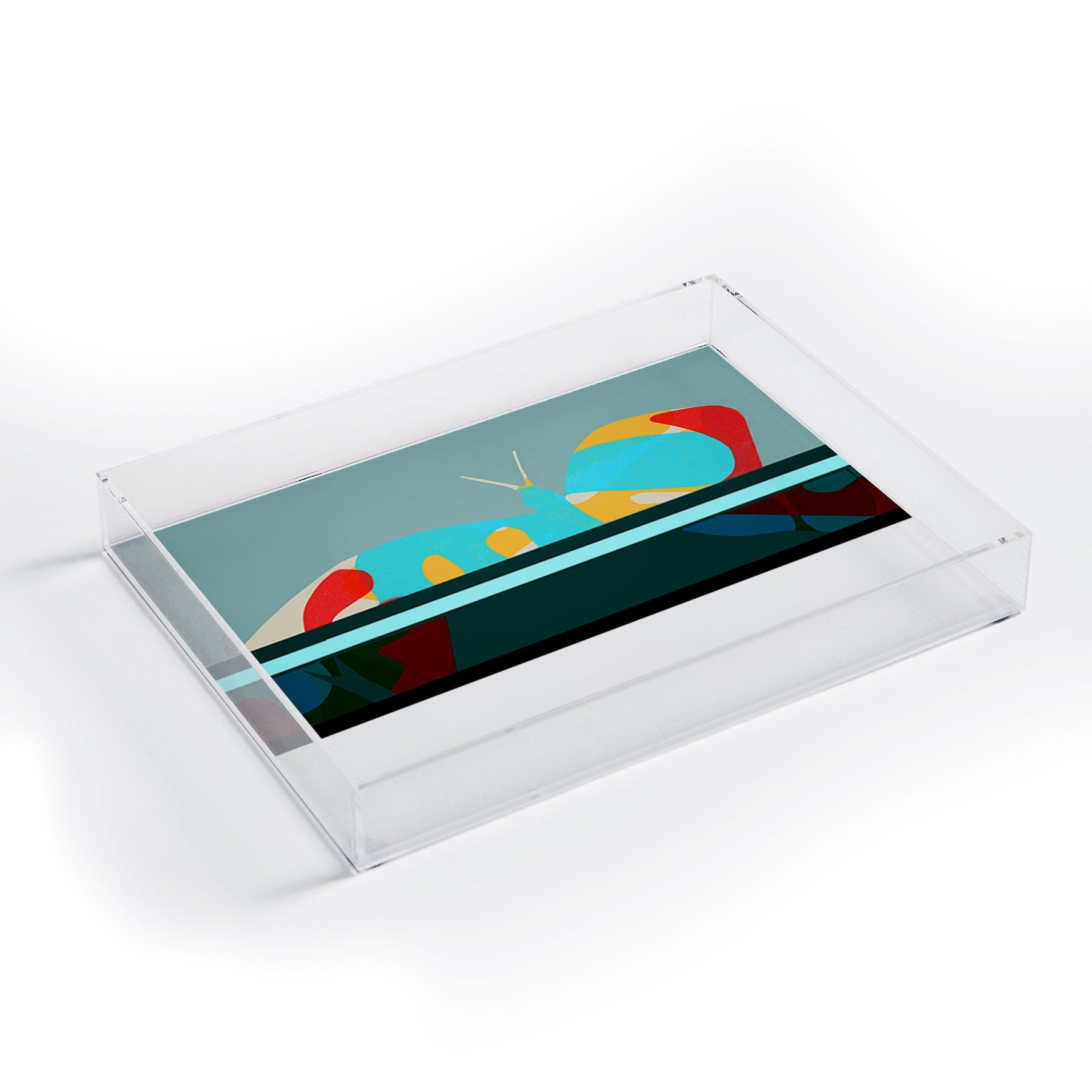 Garima Dhawan flight 5 Acrylic Tray