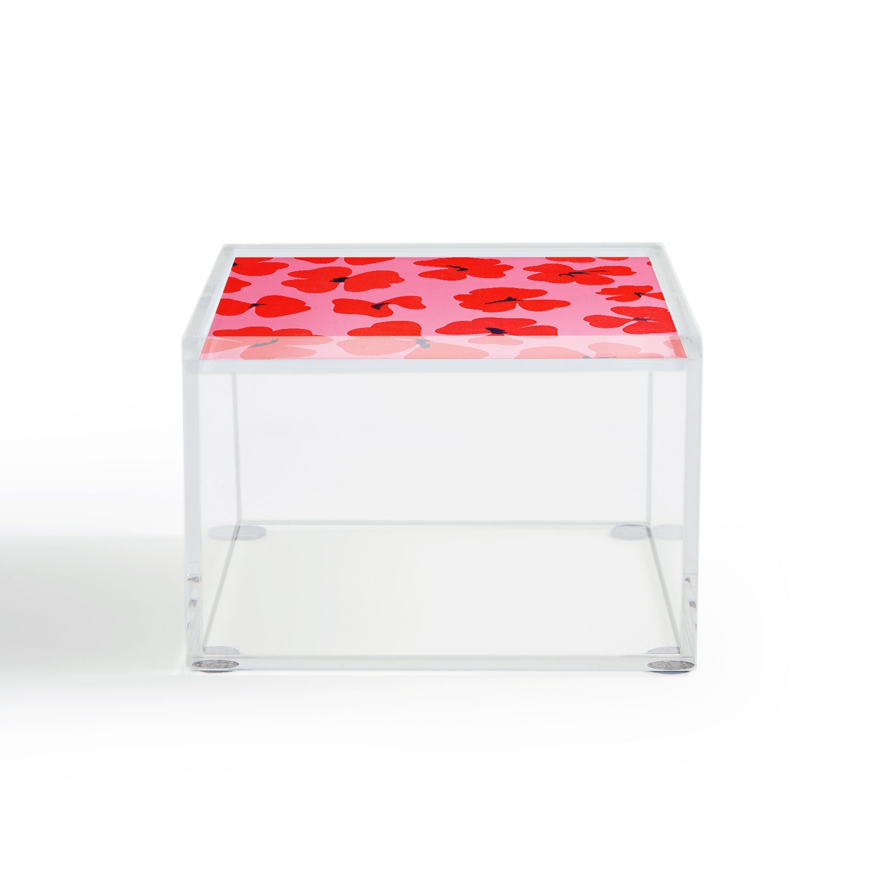 Garima Dhawan oxalis 2 Acrylic Box