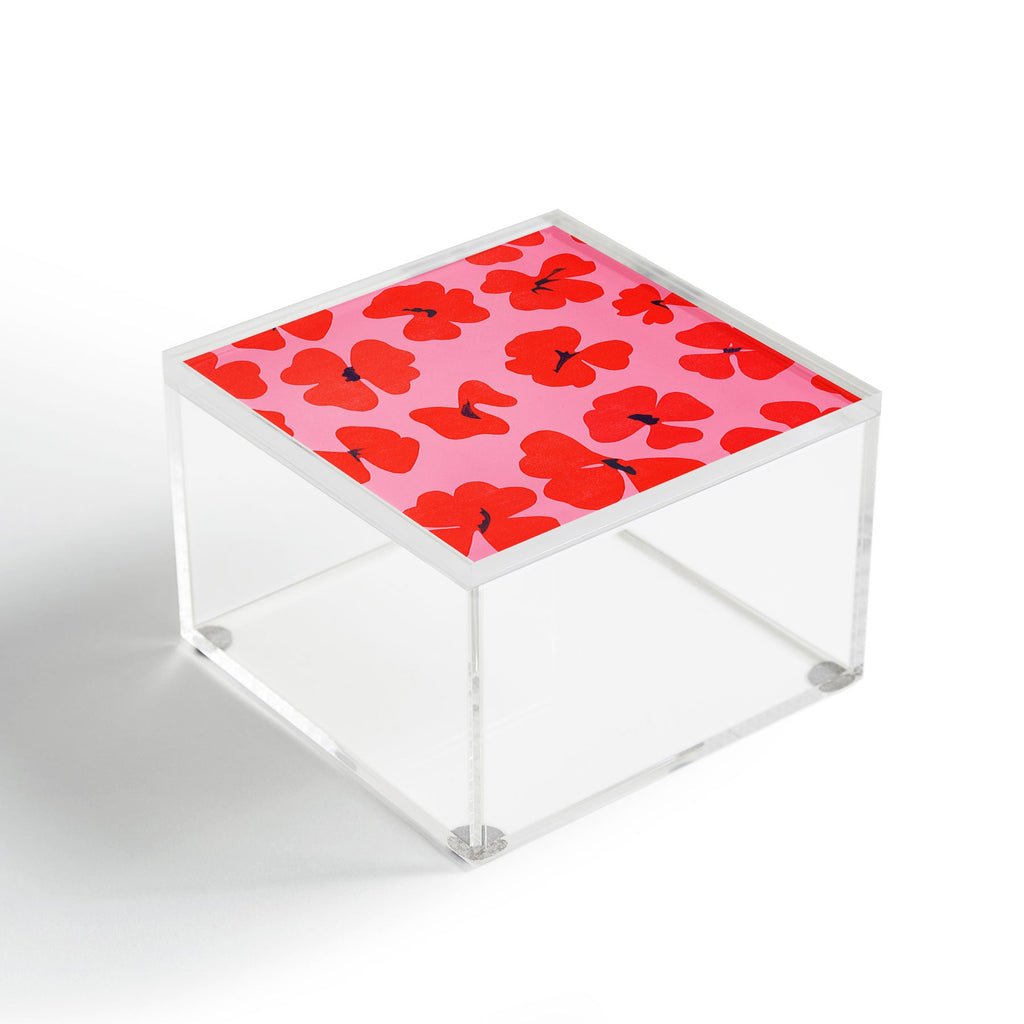 Garima Dhawan oxalis 2 Acrylic Box