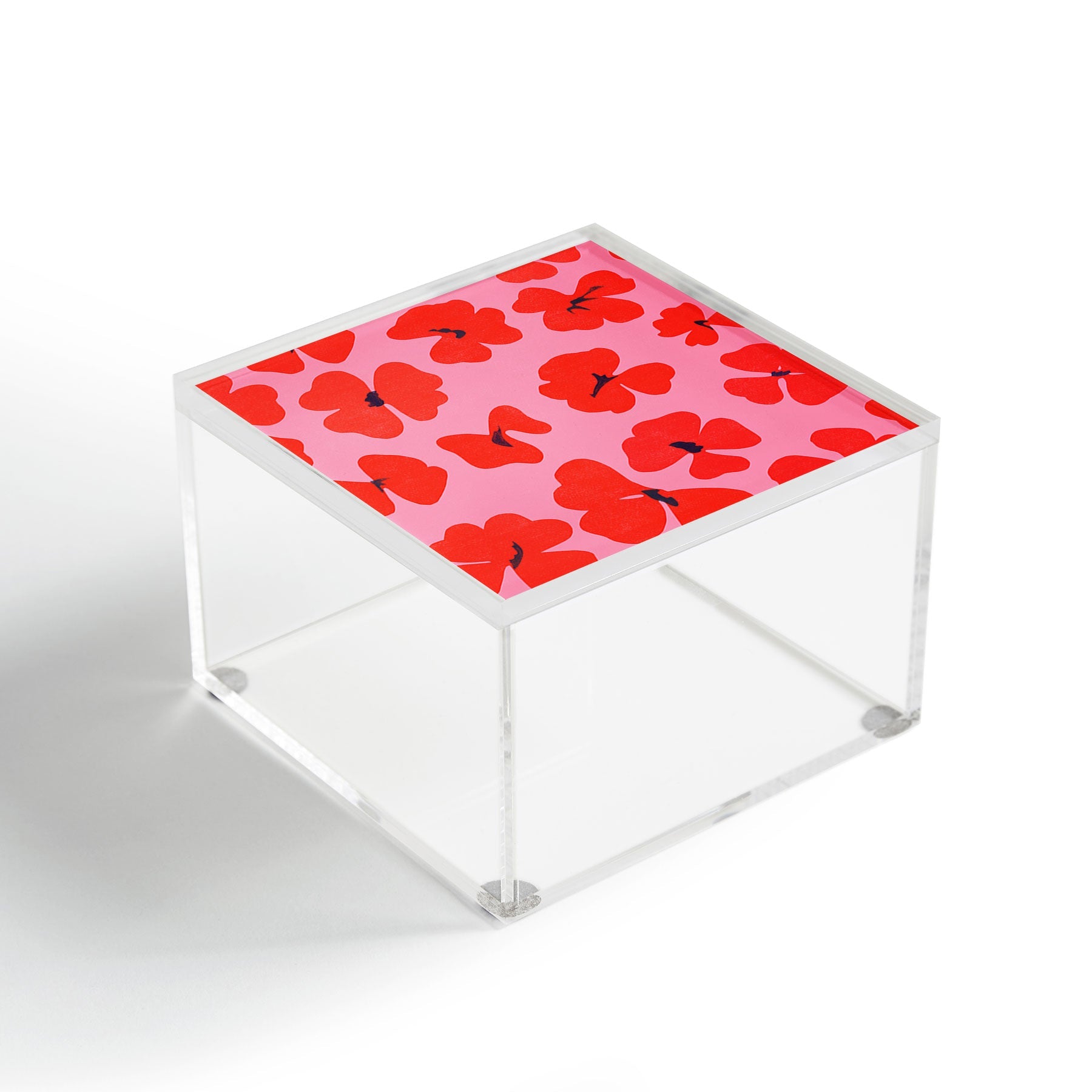 Garima Dhawan oxalis 2 Acrylic Box