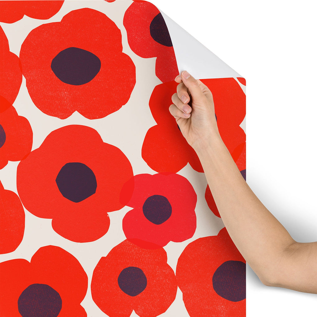 Garima Dhawan poppy 7 Wallpaper