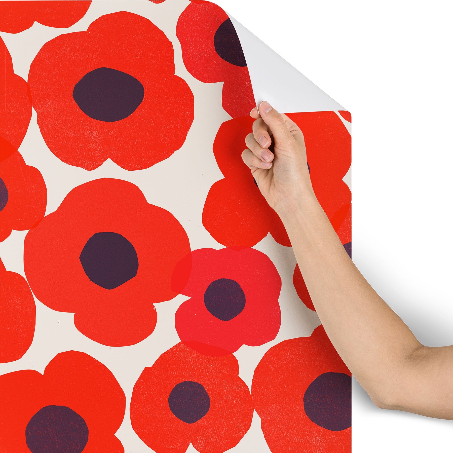 Garima Dhawan poppy 7 Wallpaper