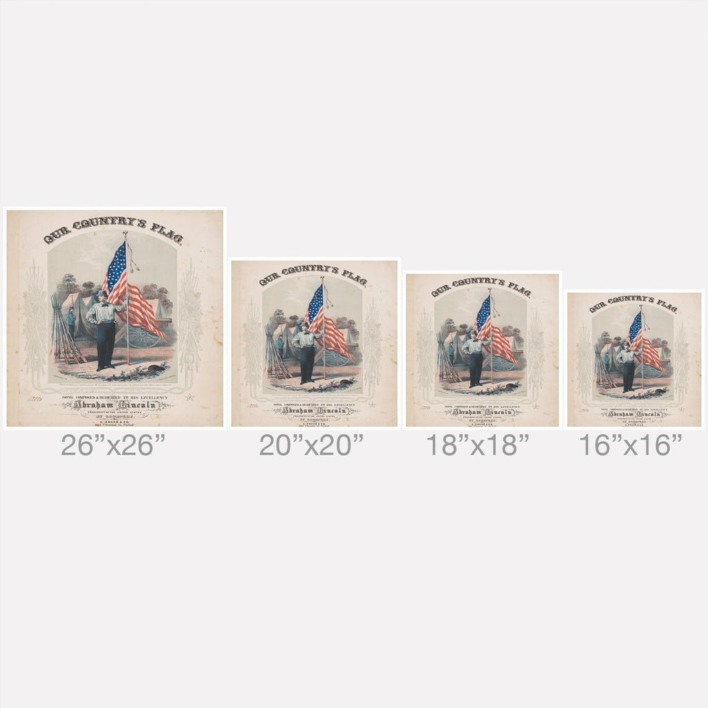 DENY Designs Our Country s Flag Outdoor Throw Pillow