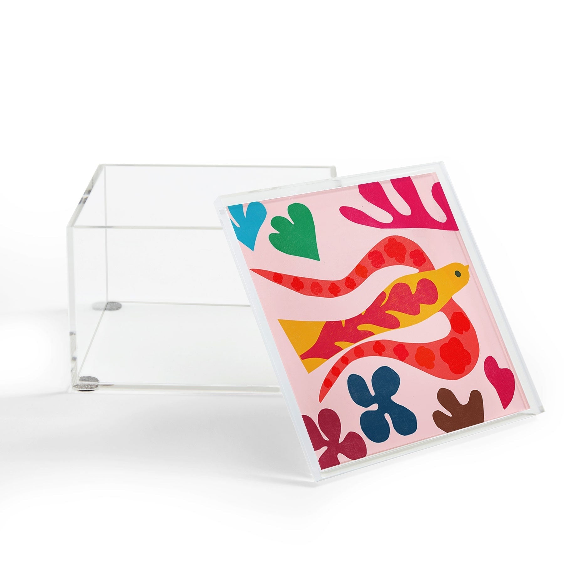 Garima Dhawan Cutouts 49 Acrylic Box
