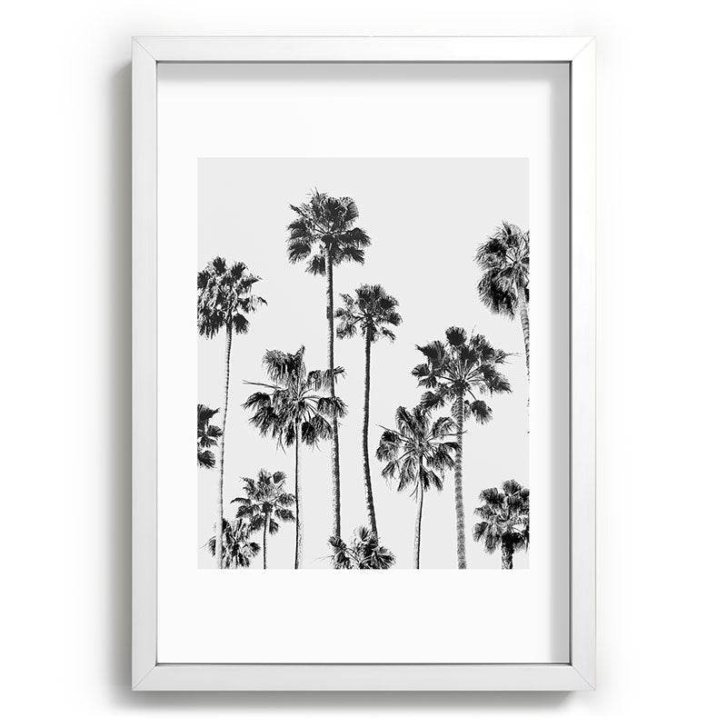Gal Design Black And White Palms Recessed Framing Rectangle