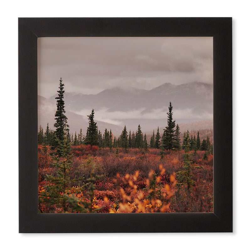 Hannah Kemp Autumn Up North Framed Wall Art