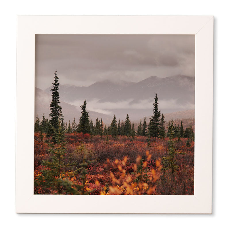Hannah Kemp Autumn Up North Framed Wall Art