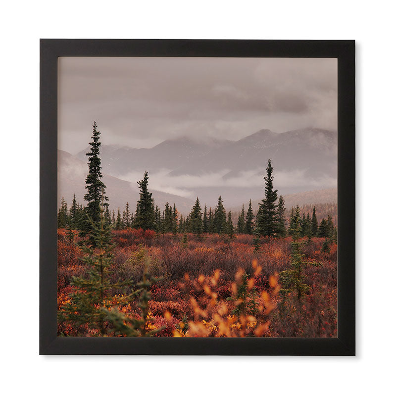 Hannah Kemp Autumn Up North Framed Wall Art