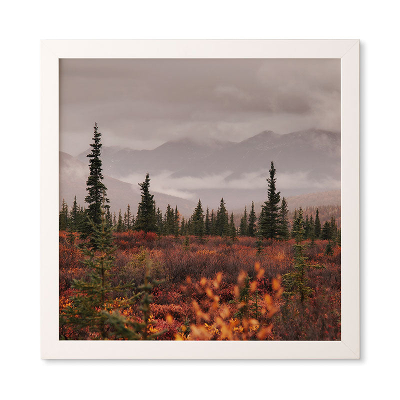 Hannah Kemp Autumn Up North Framed Wall Art