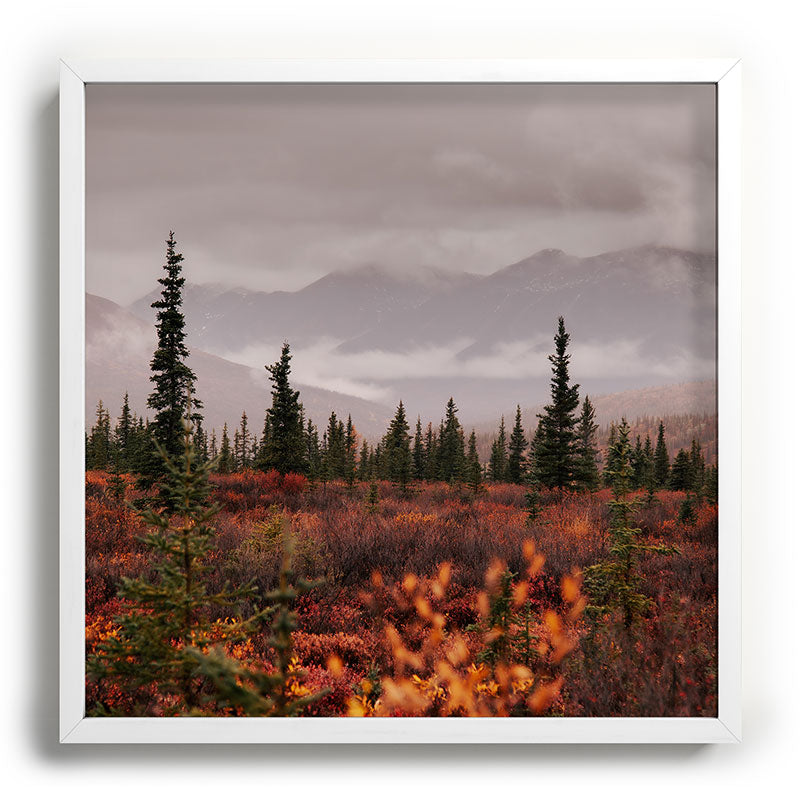 Hannah Kemp Autumn Up North Recessed Framing Square