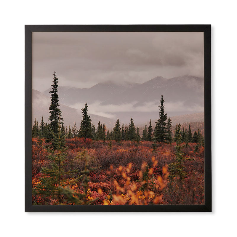 Hannah Kemp Autumn Up North Framed Wall Art