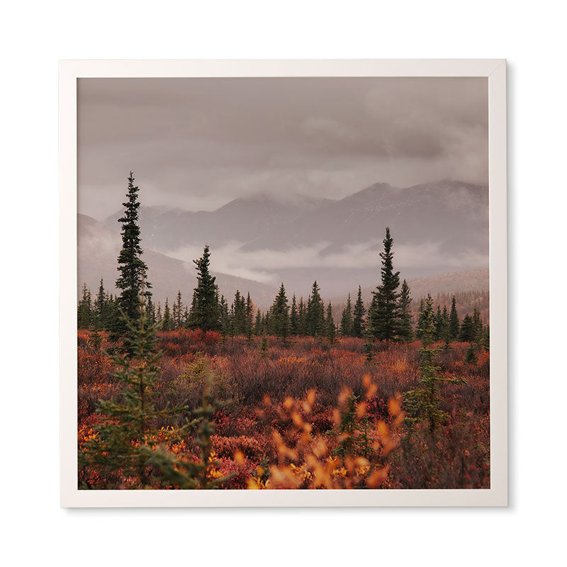 Hannah Kemp Autumn Up North Framed Wall Art