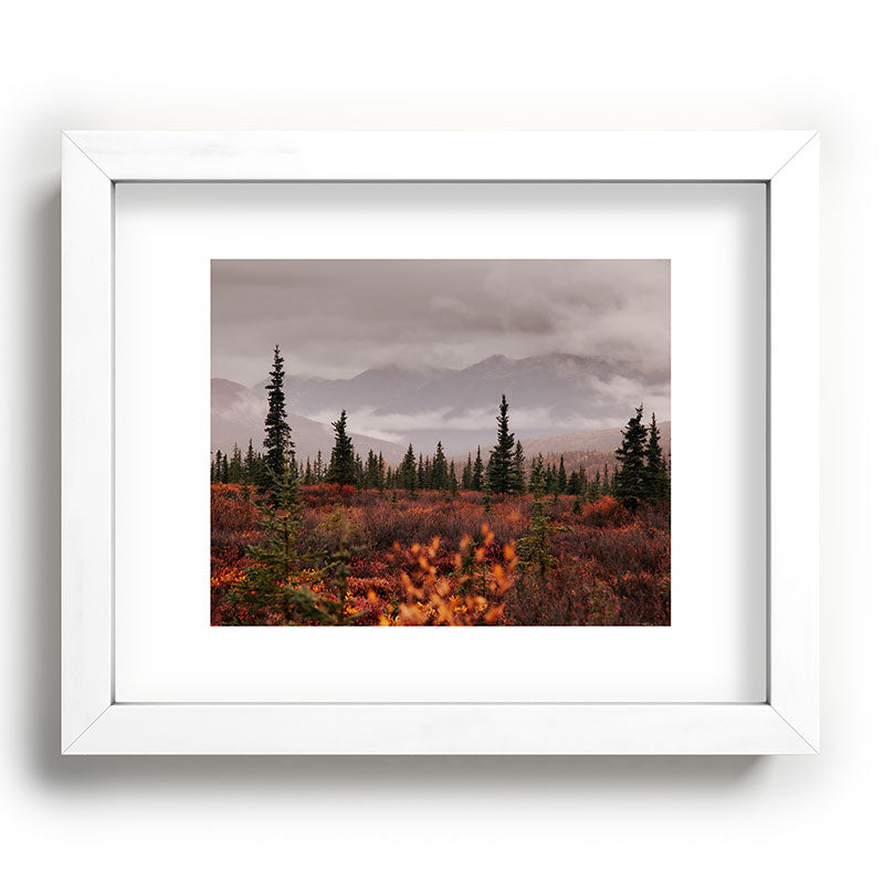 Hannah Kemp Autumn Up North Recessed Framing Rectangle