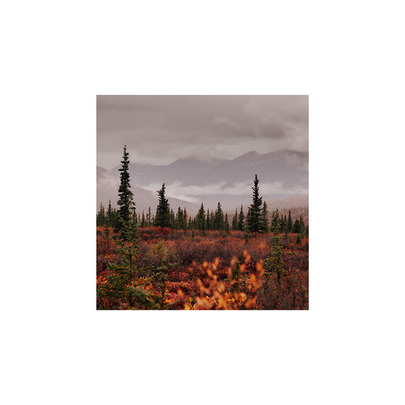 Hannah Kemp Autumn Up North Art Print