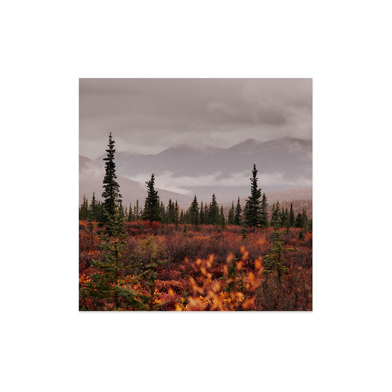 Hannah Kemp Autumn Up North Art Print