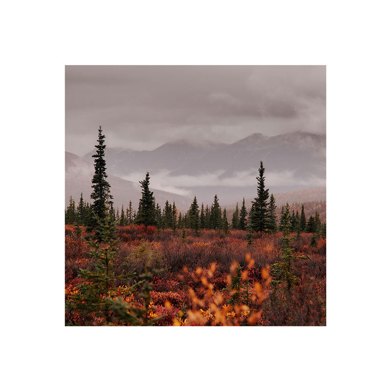 Hannah Kemp Autumn Up North Art Print