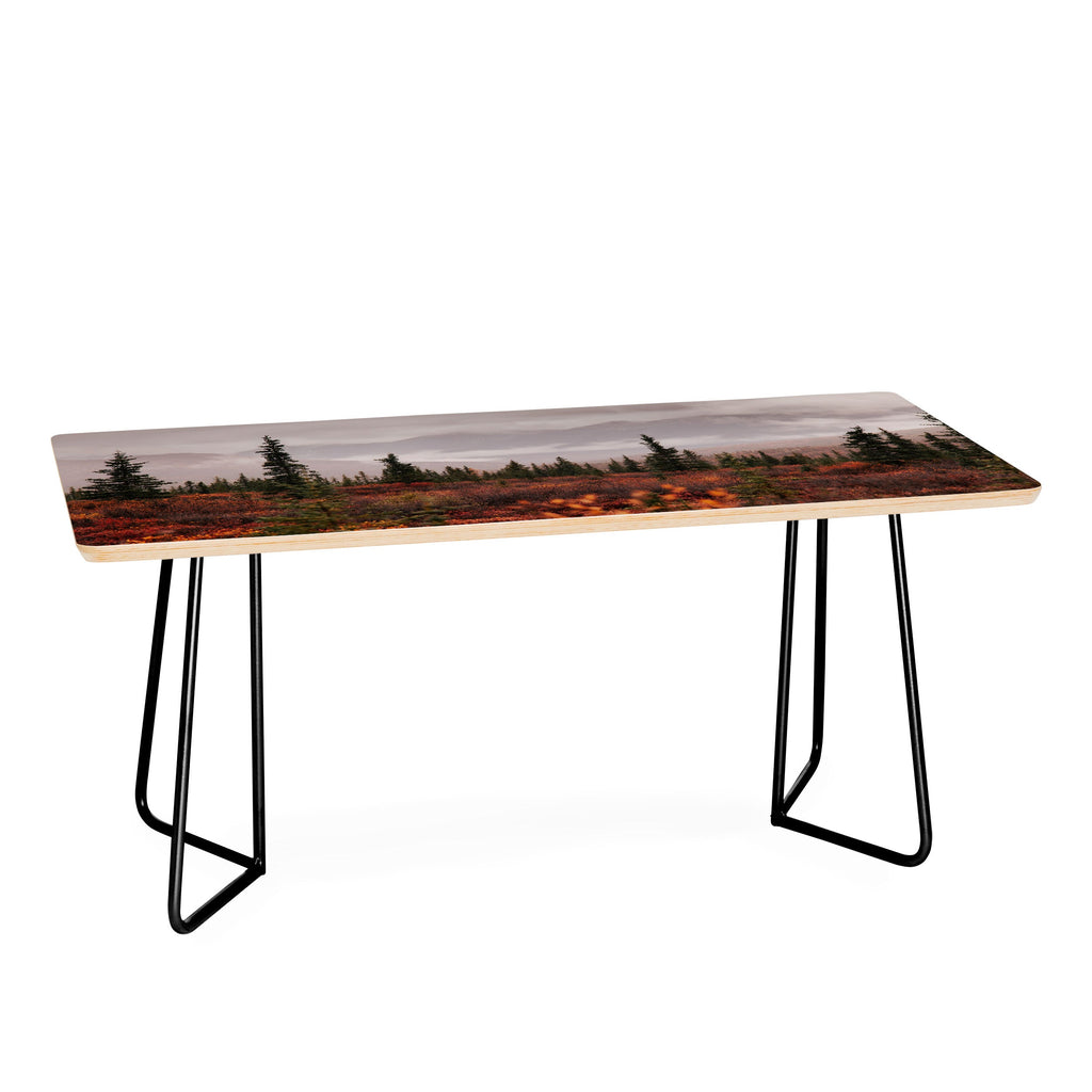 Hannah Kemp Autumn Up North Coffee Table