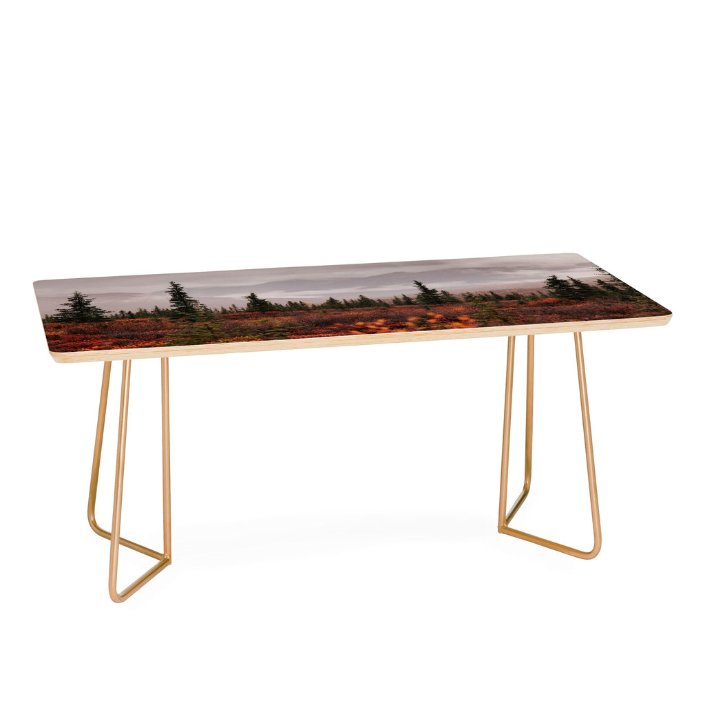 Hannah Kemp Autumn Up North Coffee Table