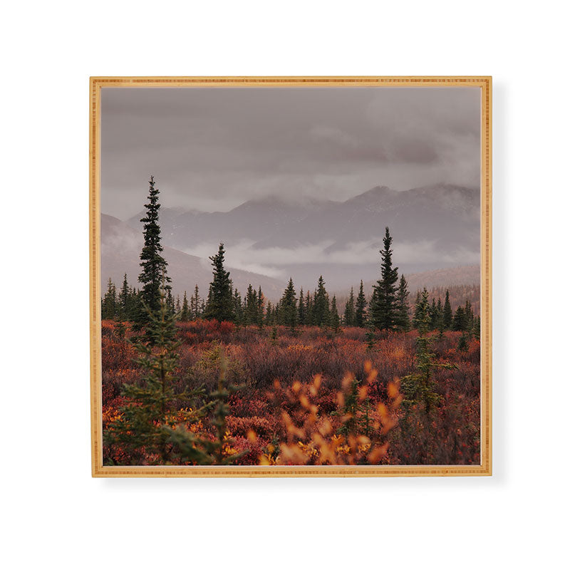 Hannah Kemp Autumn Up North Framed Wall Art
