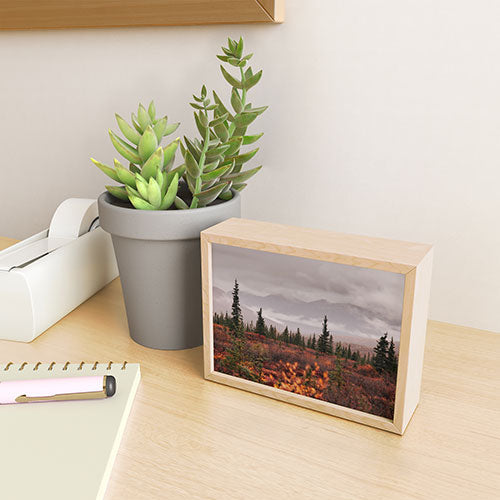 Hannah Kemp Autumn Up North Framed Mini Art Print