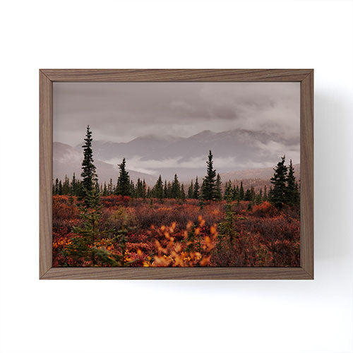 Hannah Kemp Autumn Up North Framed Mini Art Print