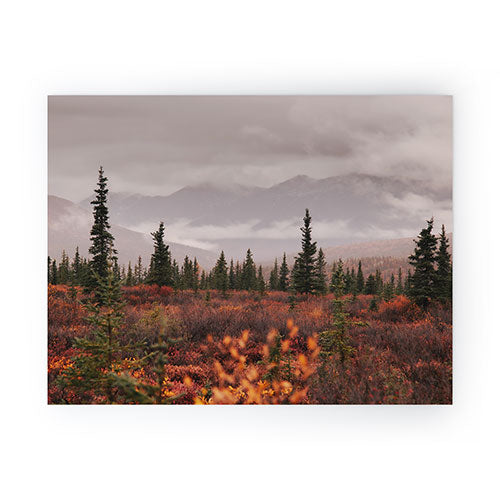 Hannah Kemp Autumn Up North Mini Art Print