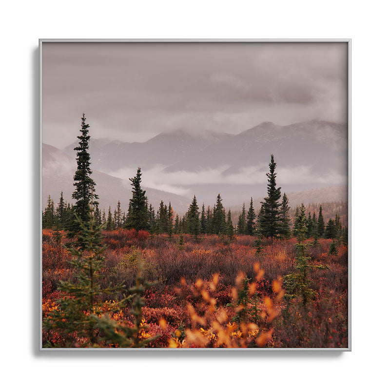Hannah Kemp Autumn Up North Square Metal Framed Art Print