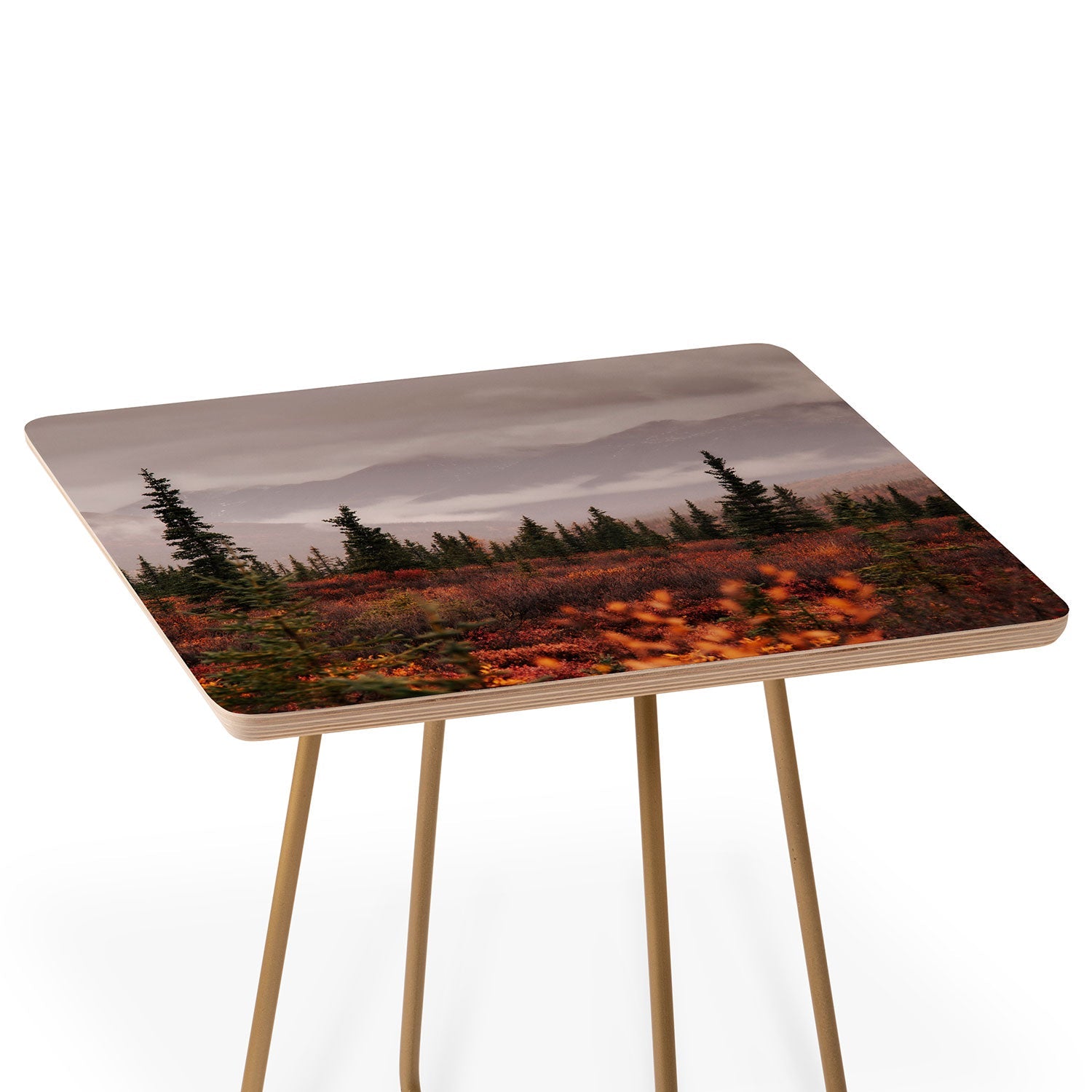 Hannah Kemp Autumn Up North Side Table