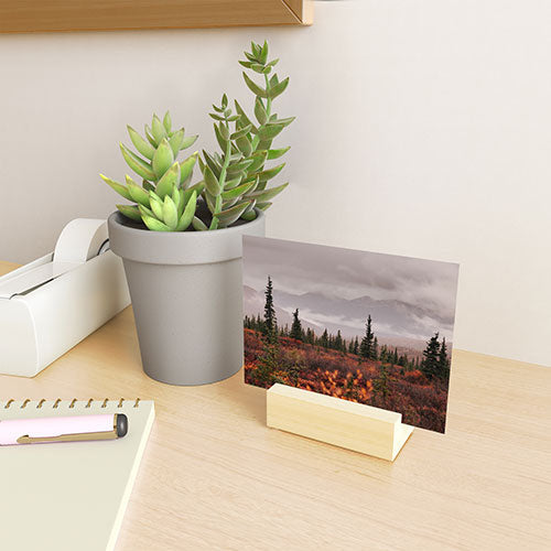 Hannah Kemp Autumn Up North Mini Art Print