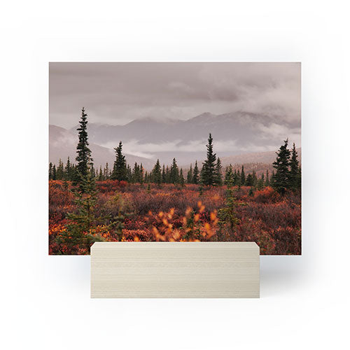 Hannah Kemp Autumn Up North Mini Art Print