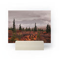 Hannah Kemp Autumn Up North Mini Art Print