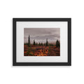 Hannah Kemp Autumn Up North Framed Art Print