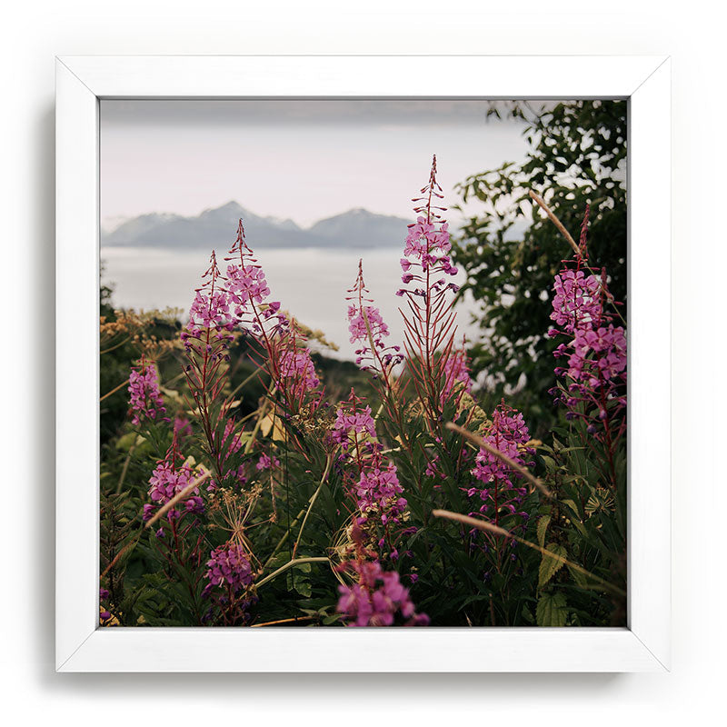 Hannah Kemp Fireweed Season Recessed Framing Square