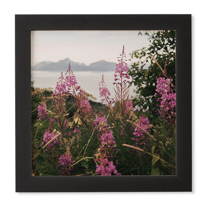 Hannah Kemp Fireweed Season Framed Wall Art