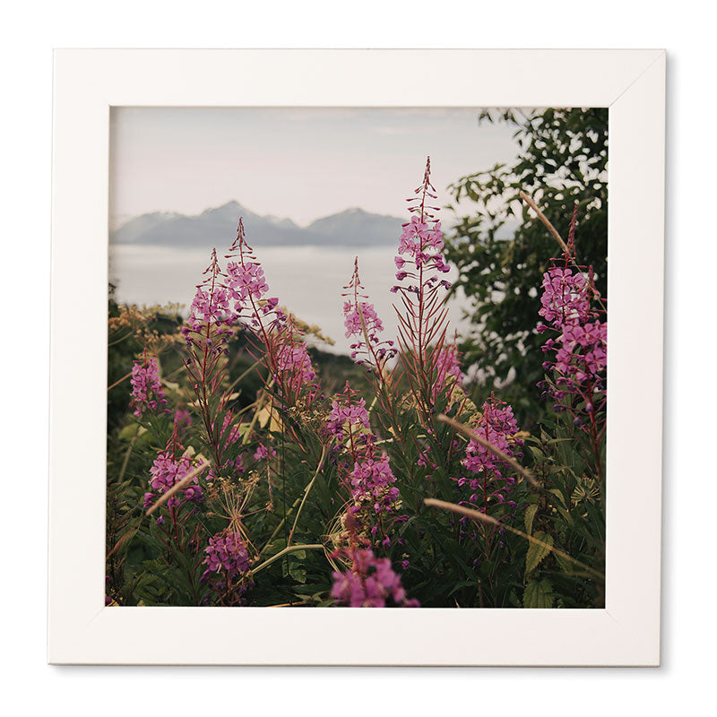 Hannah Kemp Fireweed Season Framed Wall Art
