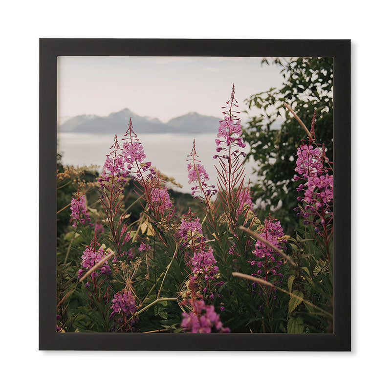 Hannah Kemp Fireweed Season Framed Wall Art