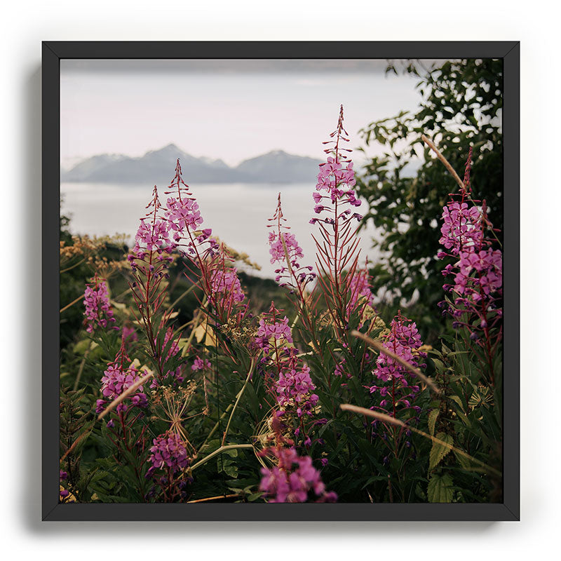 Hannah Kemp Fireweed Season Recessed Framing Square