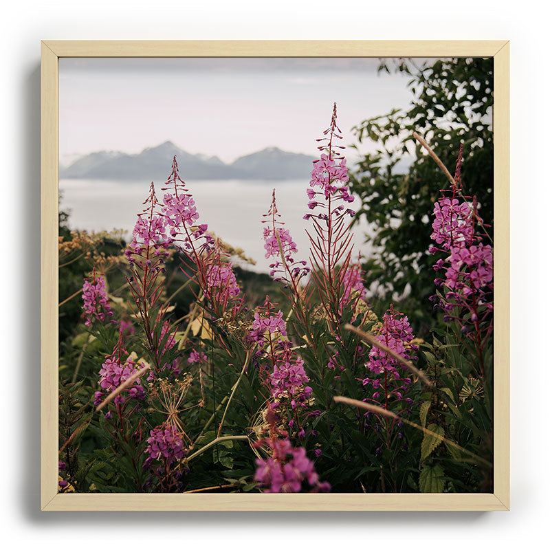 Hannah Kemp Fireweed Season Recessed Framing Square
