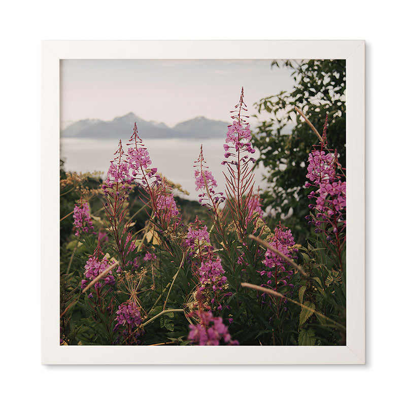 Hannah Kemp Fireweed Season Framed Wall Art
