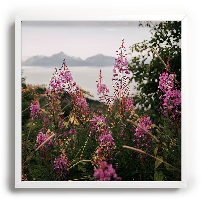 Hannah Kemp Fireweed Season Recessed Framing Square