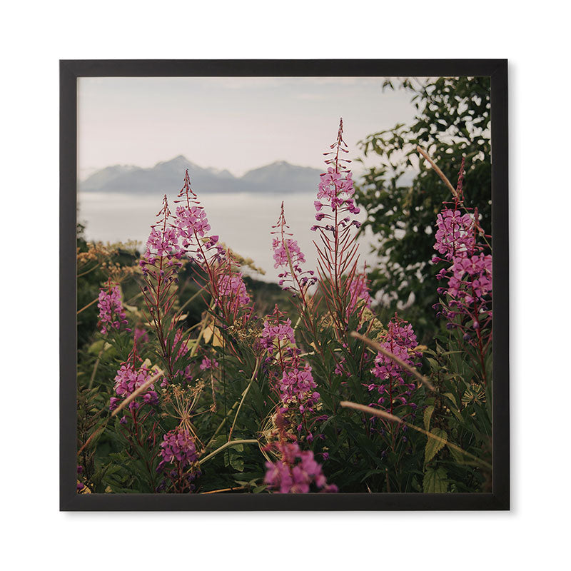 Hannah Kemp Fireweed Season Framed Wall Art