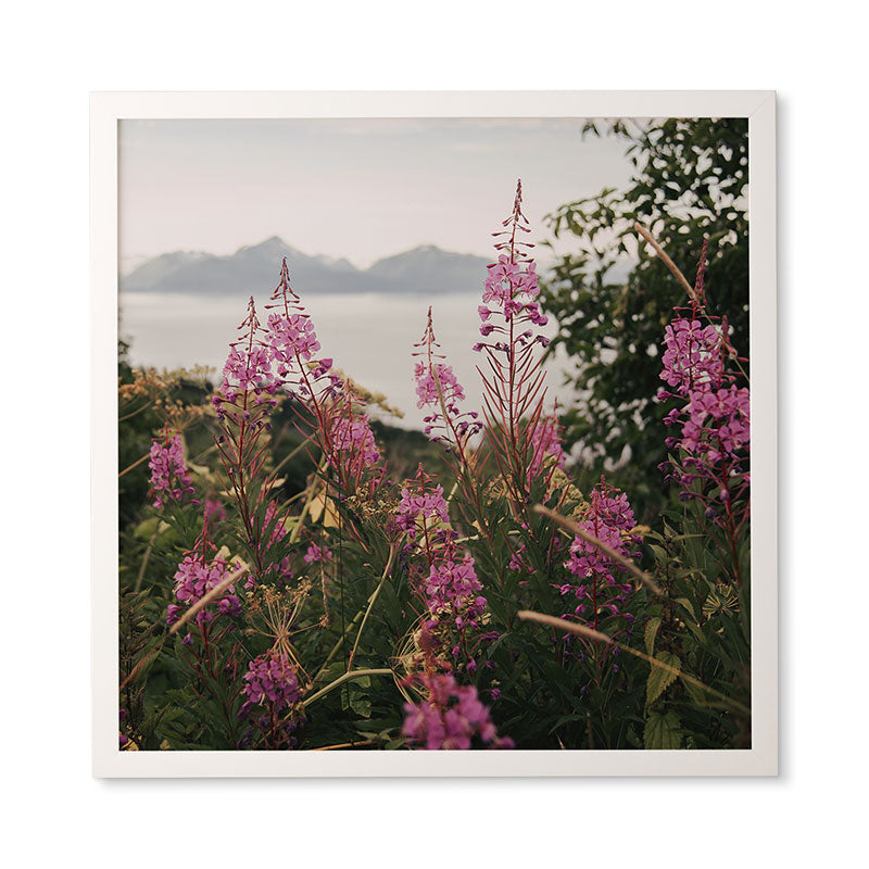 Hannah Kemp Fireweed Season Framed Wall Art