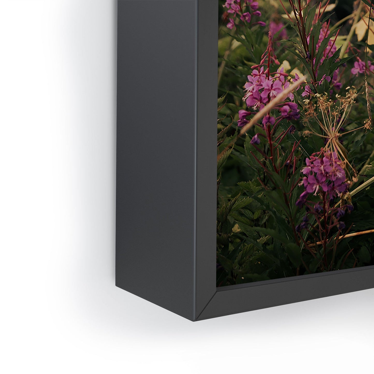 Hannah Kemp Fireweed Season Framed Mini Art Print