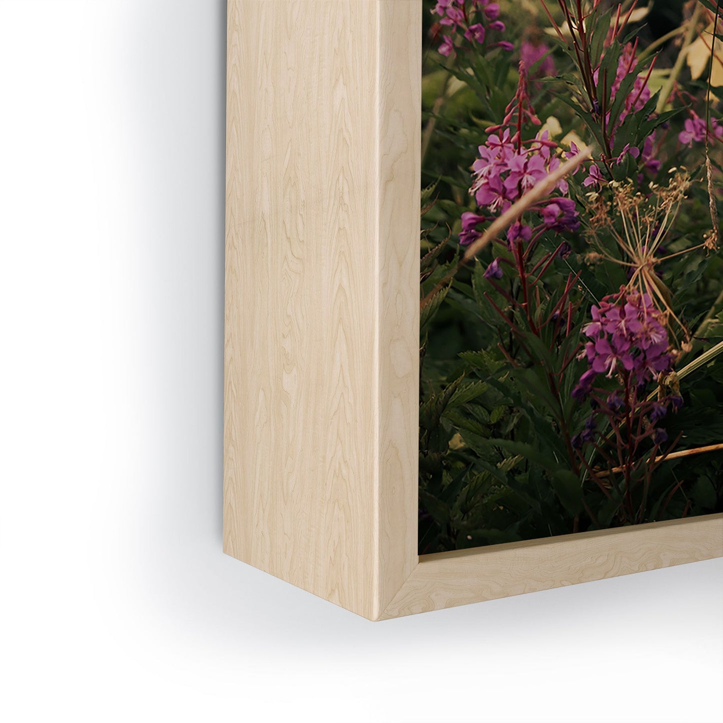 Hannah Kemp Fireweed Season Framed Mini Art Print